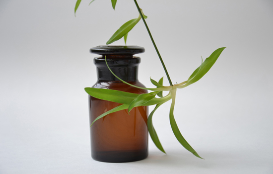 Aromatherapie-homeopathie à Senones
