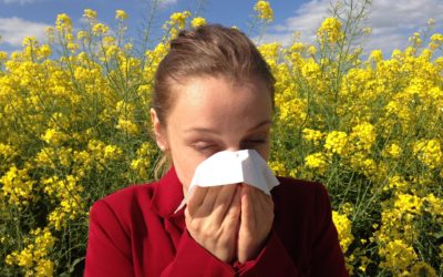 Allergies saisonnières