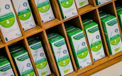 Comment bien préparer ses défenses immunitaires pour l’automne ?