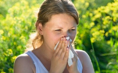 Comment lutter contre les allergies saisonnières ?