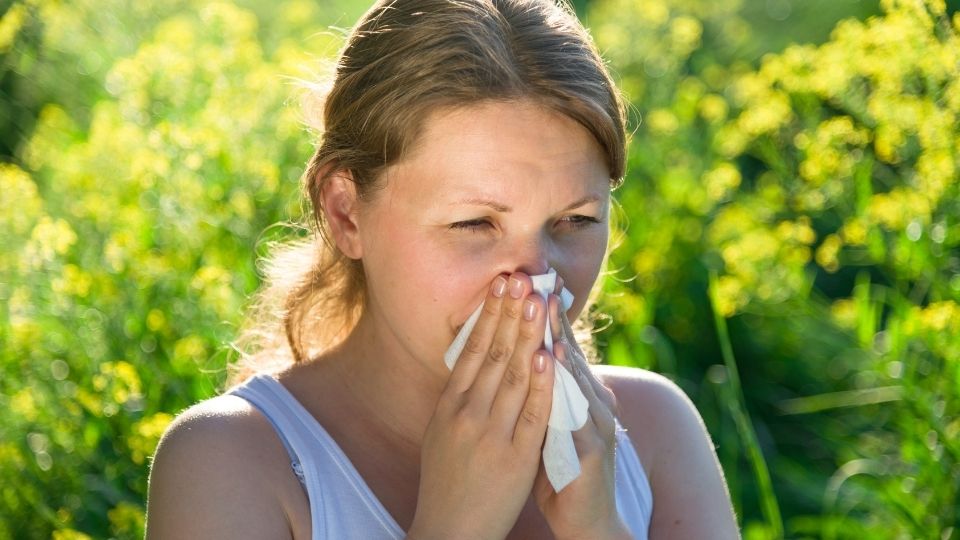 Comment lutter contre les allergies saisonnières ?